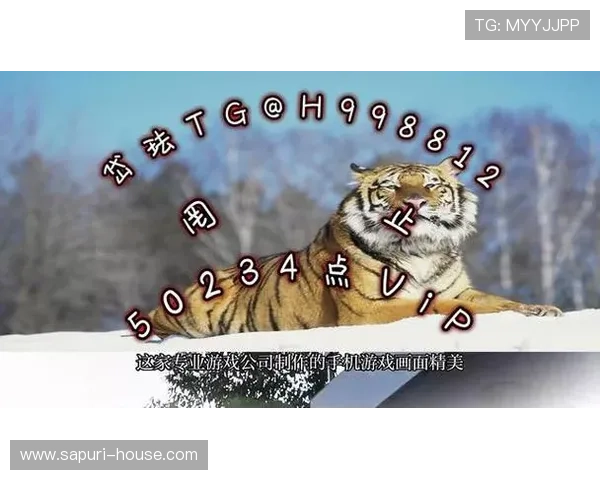 2024年ag捕鱼官网官方地址最新更新，确保玩家安全畅玩