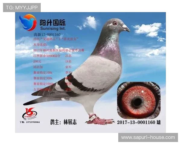 AG国际线上网址下载常见问题解答,解决用户在下载过程中遇到的各种技术难题与疑问 AG国际线上网址下载常见问题解答,解决用户在下载过程中遇到的各种技术难题与疑问