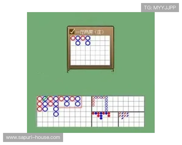 深入剖析ag百家技巧打法集于一身的实战经验帮助玩家实现战绩突破