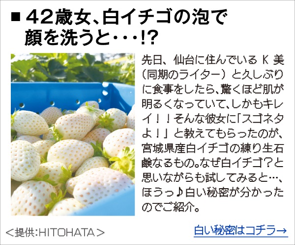 いちポリ練り生石鹸を最安値で購入できる販売店を選べ！え？どこ？