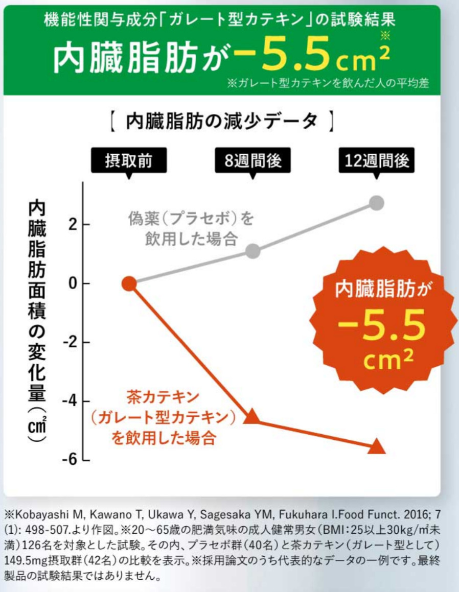 試験結果（内蔵脂肪）