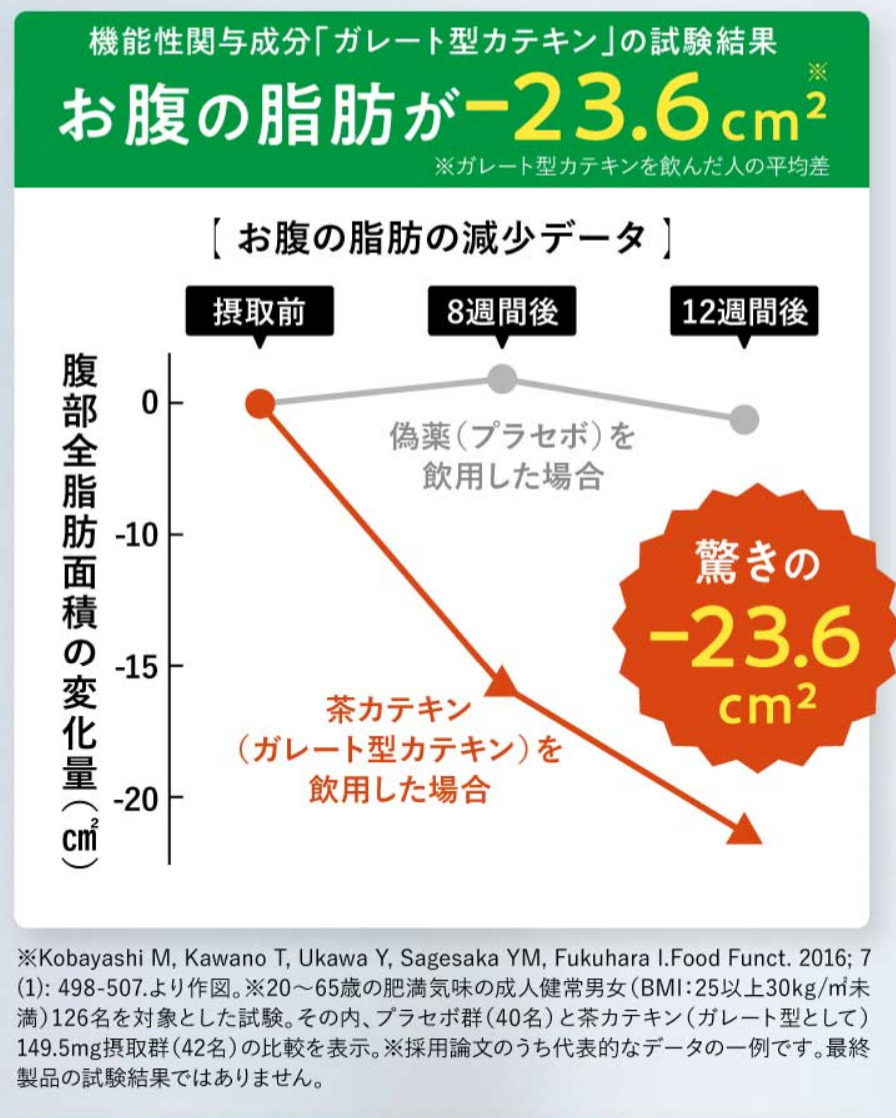 試験結果（お腹の脂肪）